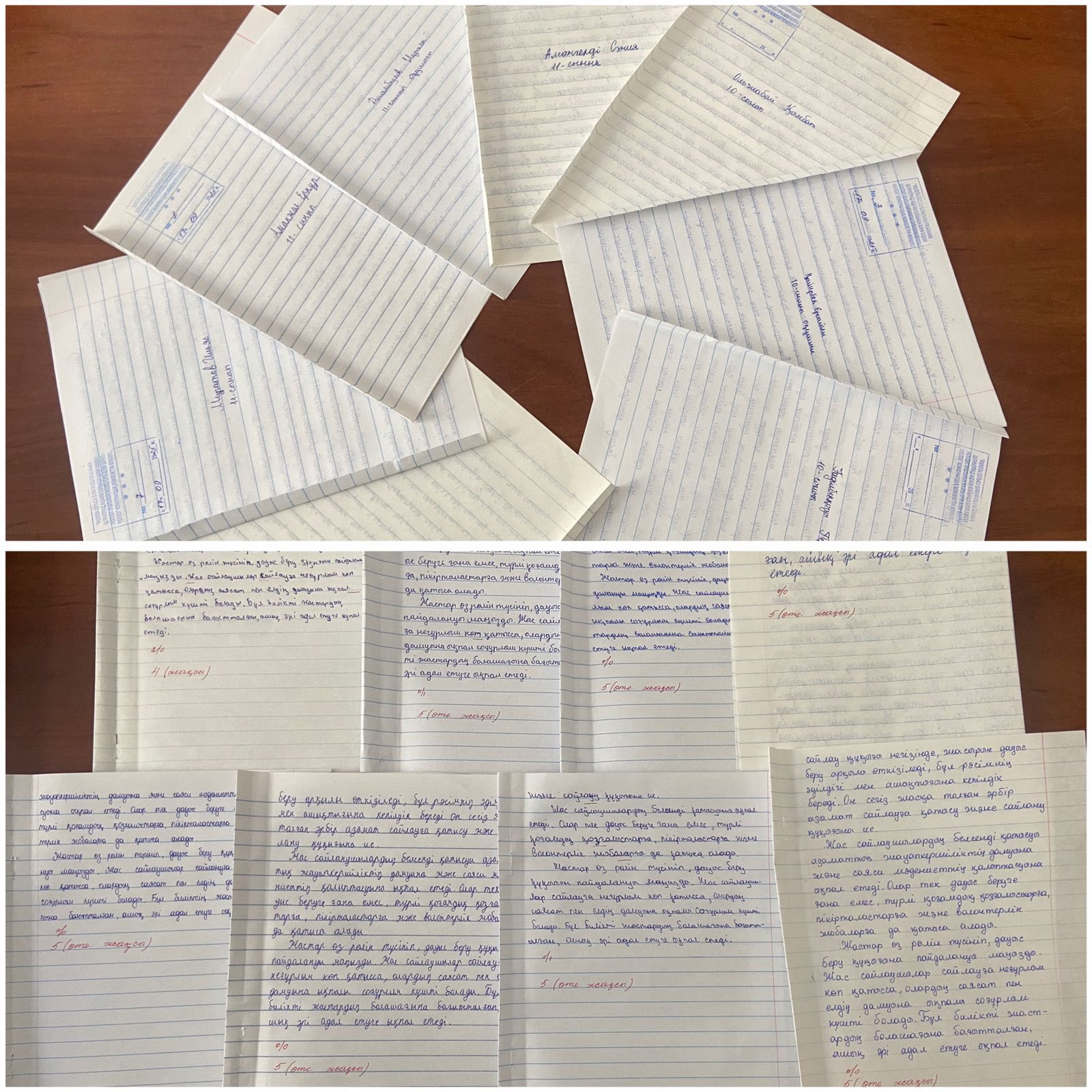 Тема: диктант "выборы и будущее страны"